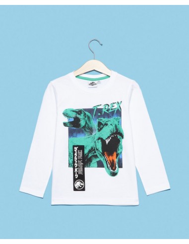 maglietta con dinosauro