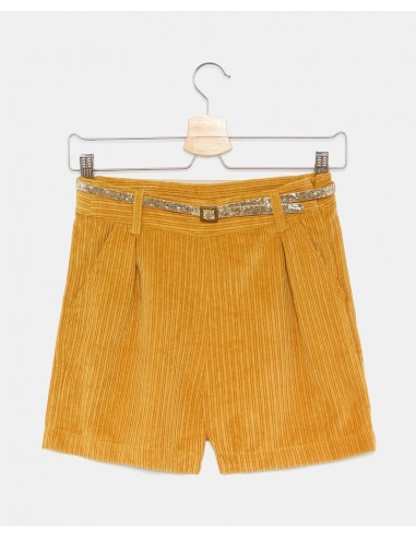 shorts velluto